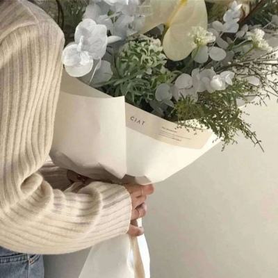 鱼吃鱼游戏下载正版安装